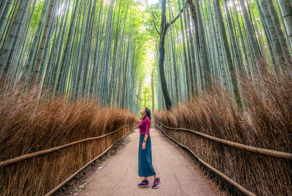 Bamboo Forest Kyoto