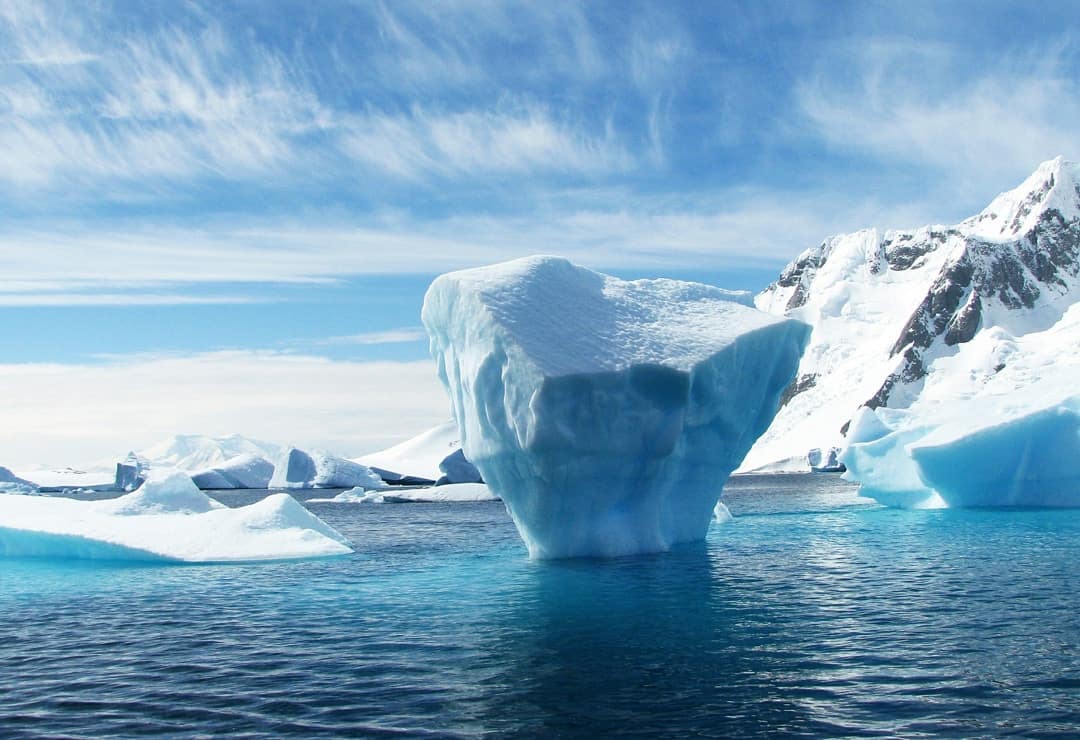 Nomadasaurus In Antarctica