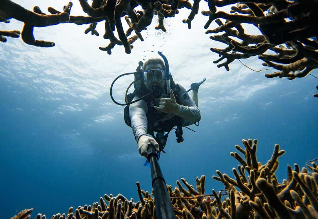 Jarryd Diving.