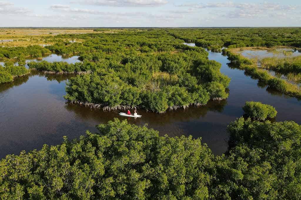Big Cypress National Preserve