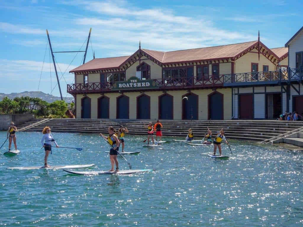 Paddleboard In The Harbour Things To Do In Wellington, New Zealand