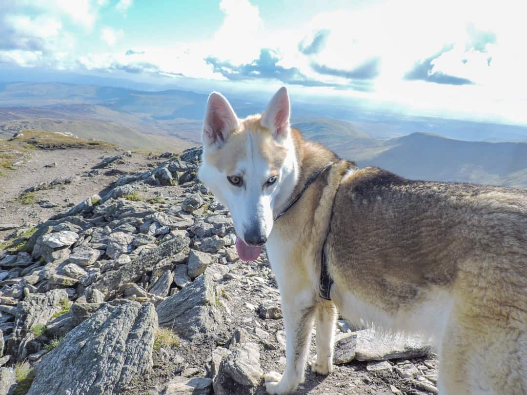 Ben Vorlick Adventure Activities In Scotland