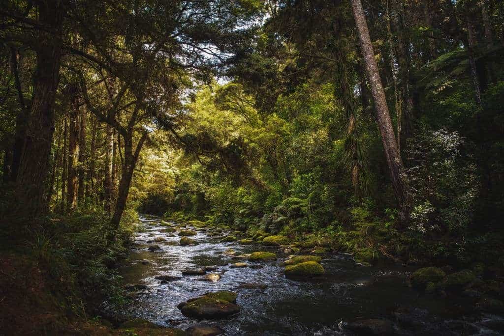 Cedar Creek
