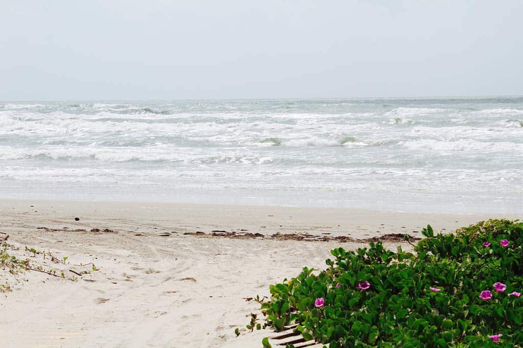 Mustang Island Texas