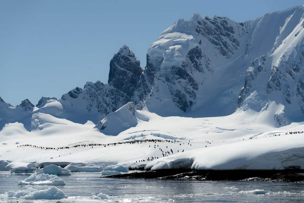 Cuverville Island Penguin Colony Landscape Mountains Intrepid Oe4 2 Jarryd Salem
