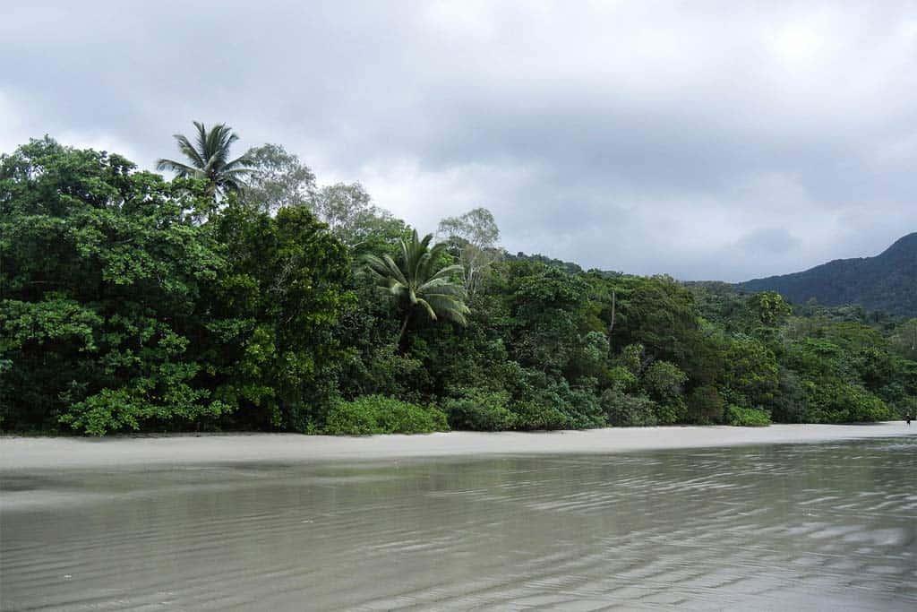 Daintree Rainforest Rainy Season
