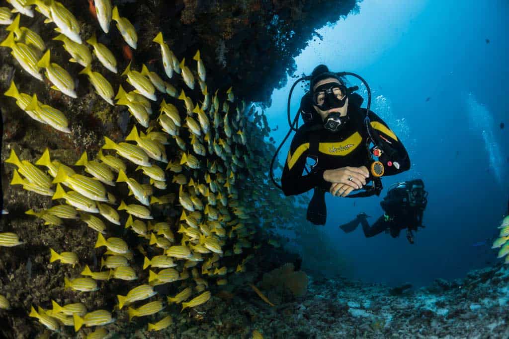 Lady Diving