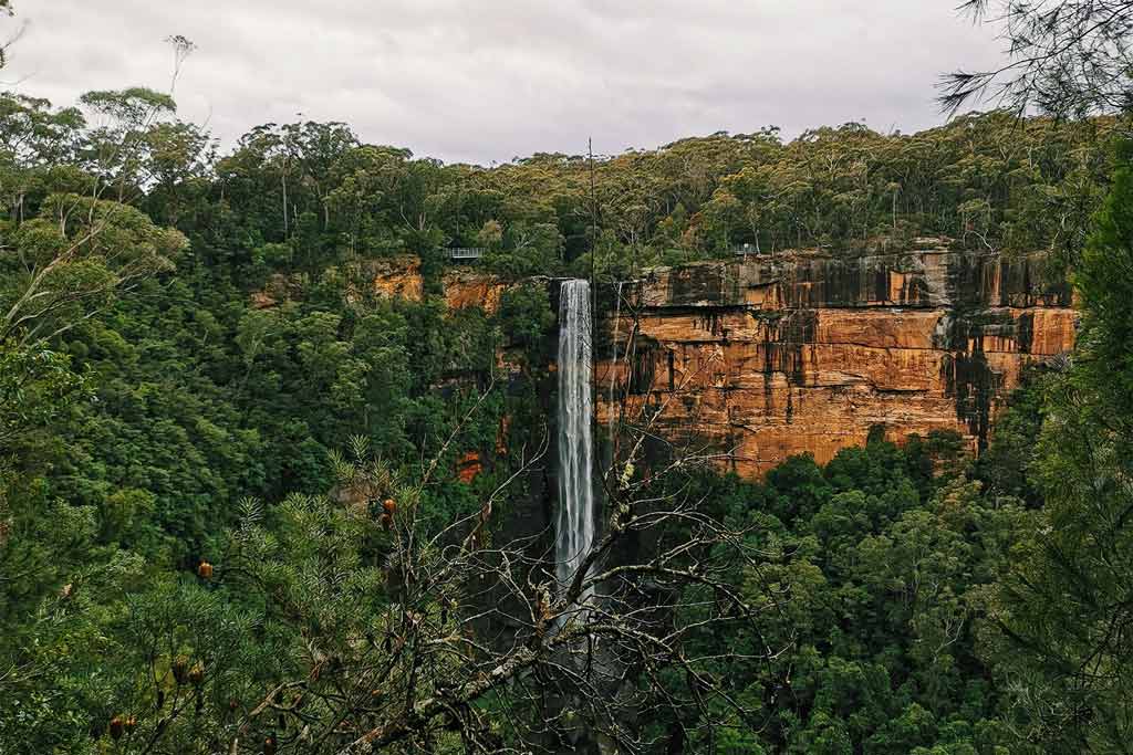 Fitzroy Falls And Forest In Nsw South Wales