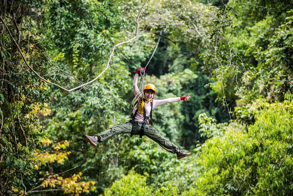 Flight Of The Gibbon