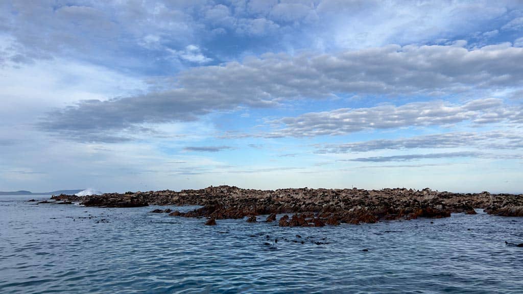 Gansbaai Rocks 