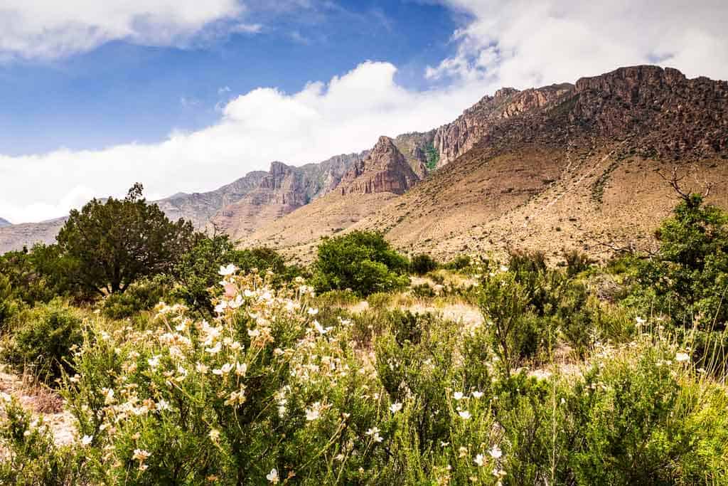 Guadalupe Mountains National Park