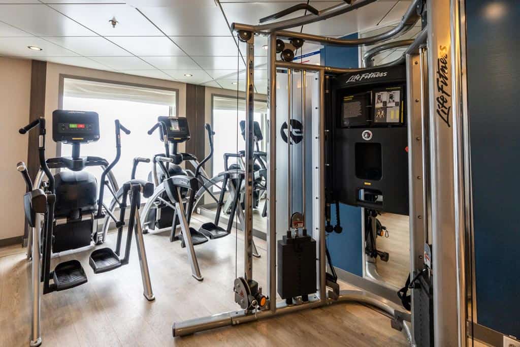 Gym Sylvia Earle