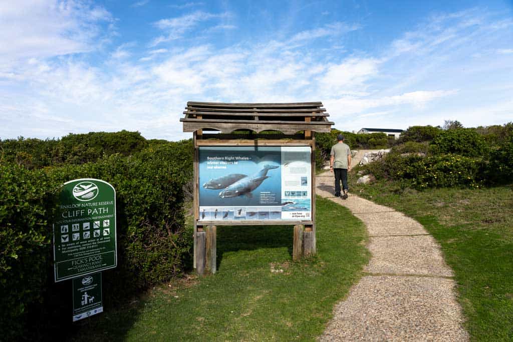 Coastline Path In Hermanus
