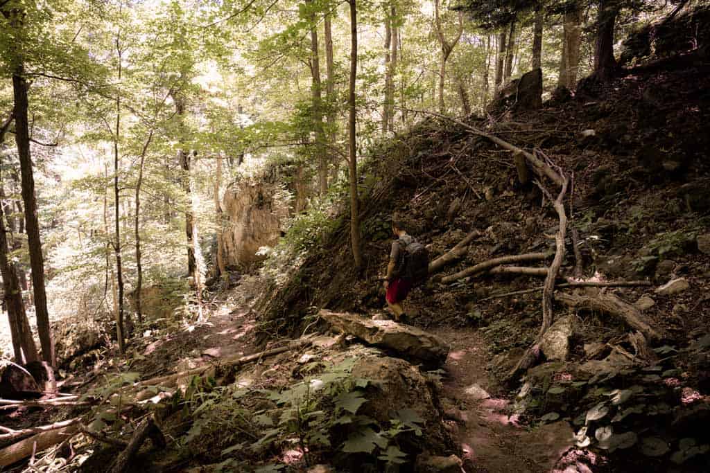 Niagara Glen