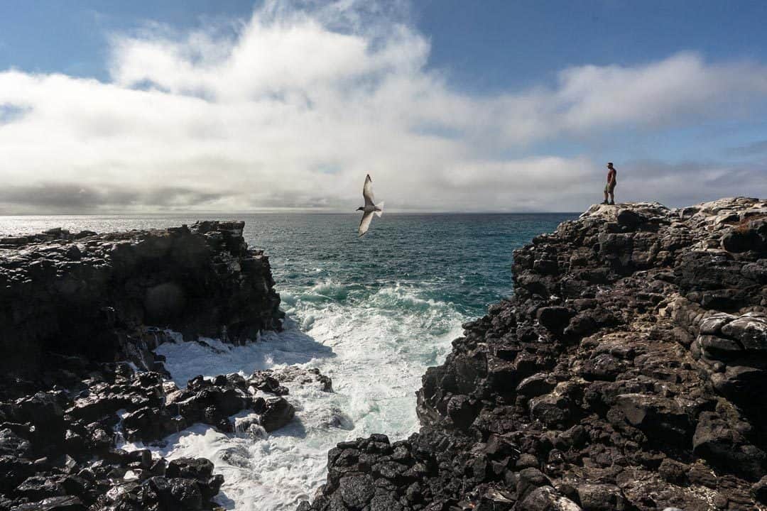 Española Ecoventura Itinerary A Review Origin Galapagos Islands
