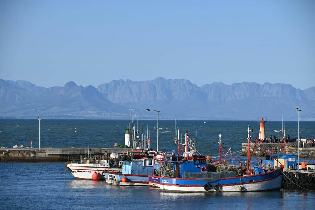 Harbour In Kalk Bay
