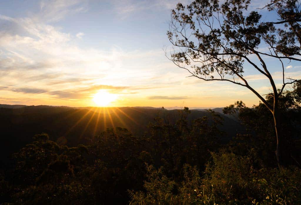 Lamington National Park Sunset