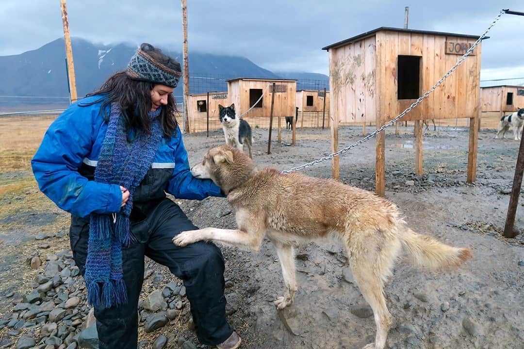 Dog Sledding - Adventure Activities In Svalbard