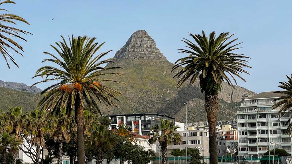 Photo Of Lion Head