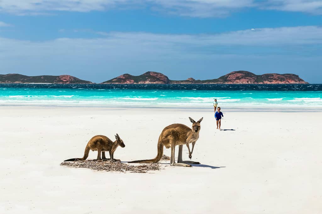 Luck Bay Kangaroos