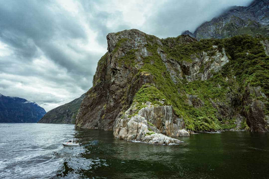 Jagged Cliffs Milford Sound Overnight Cruise