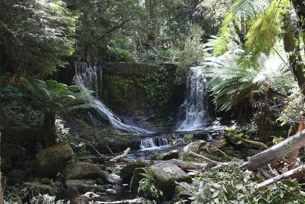 Mount Field National Park Waterfalls