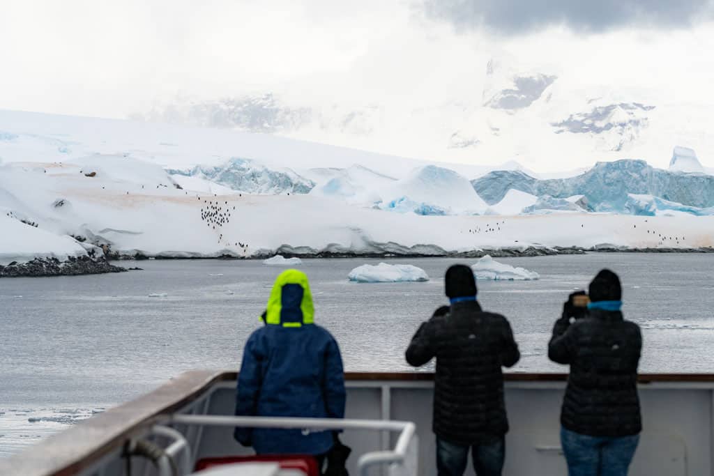 Guests Looking At Neko Harbour