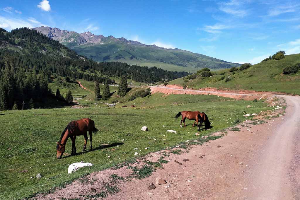 New Mine Road