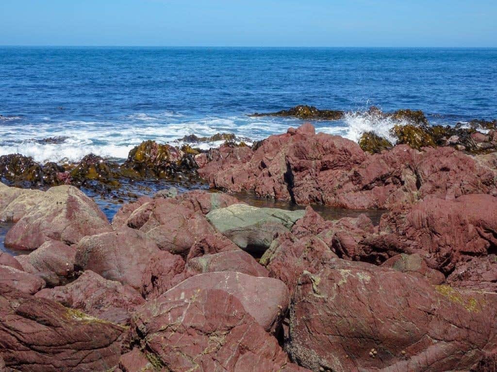 The Red Rocks Wellington, New Zealand