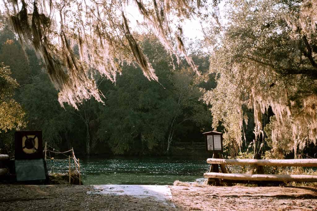 Ocala National Forest