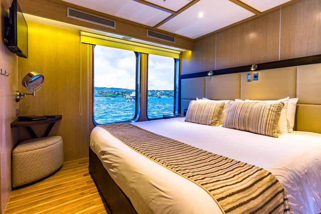 Bedroom Ecoventura Itinerary A Review Origin Galapagos Islands