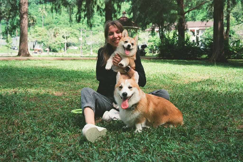 Person Hugging Corgis In A Park