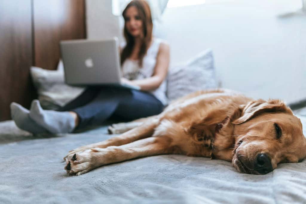 Trustedhousesitters Experience