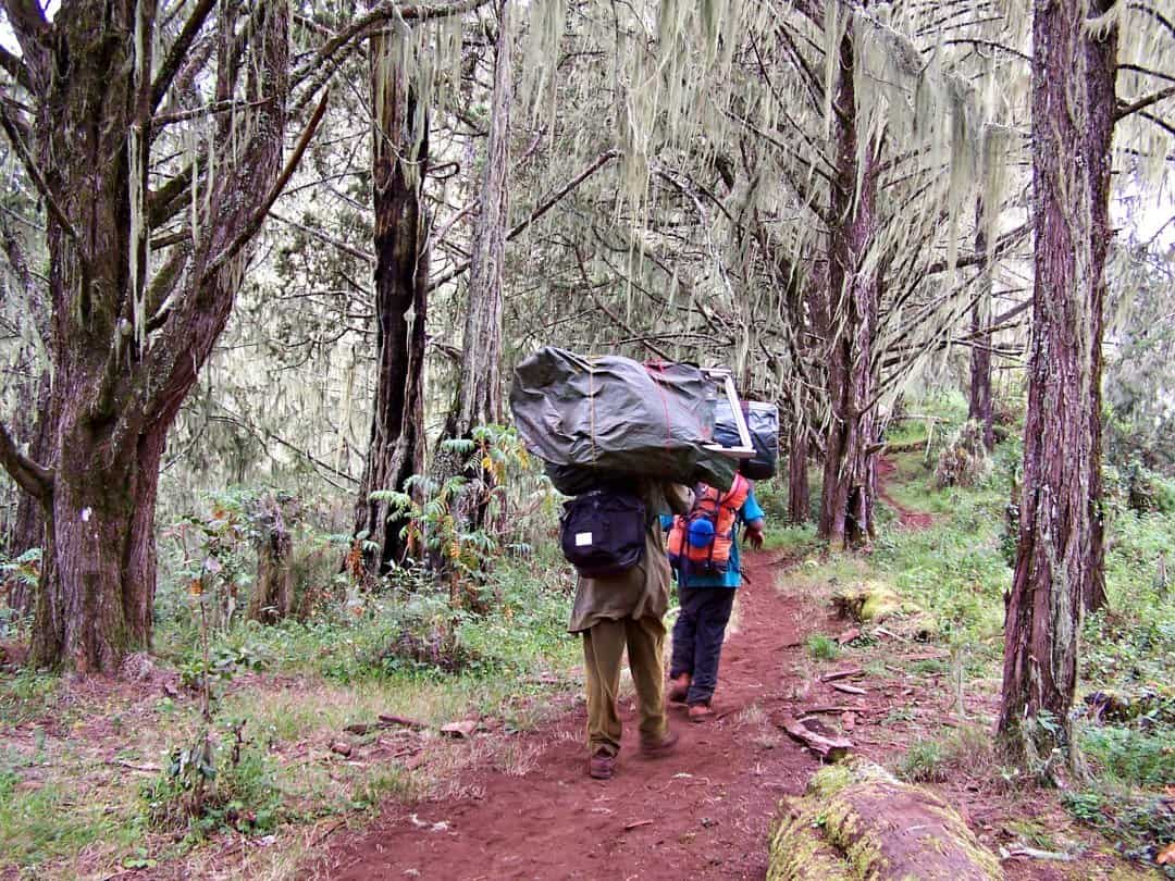 A Beginner's Guide To Climbing Mount Kilimanjaro