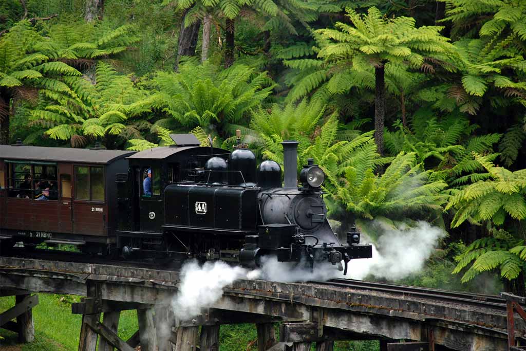 Steam Train In The Dandenong Ranges