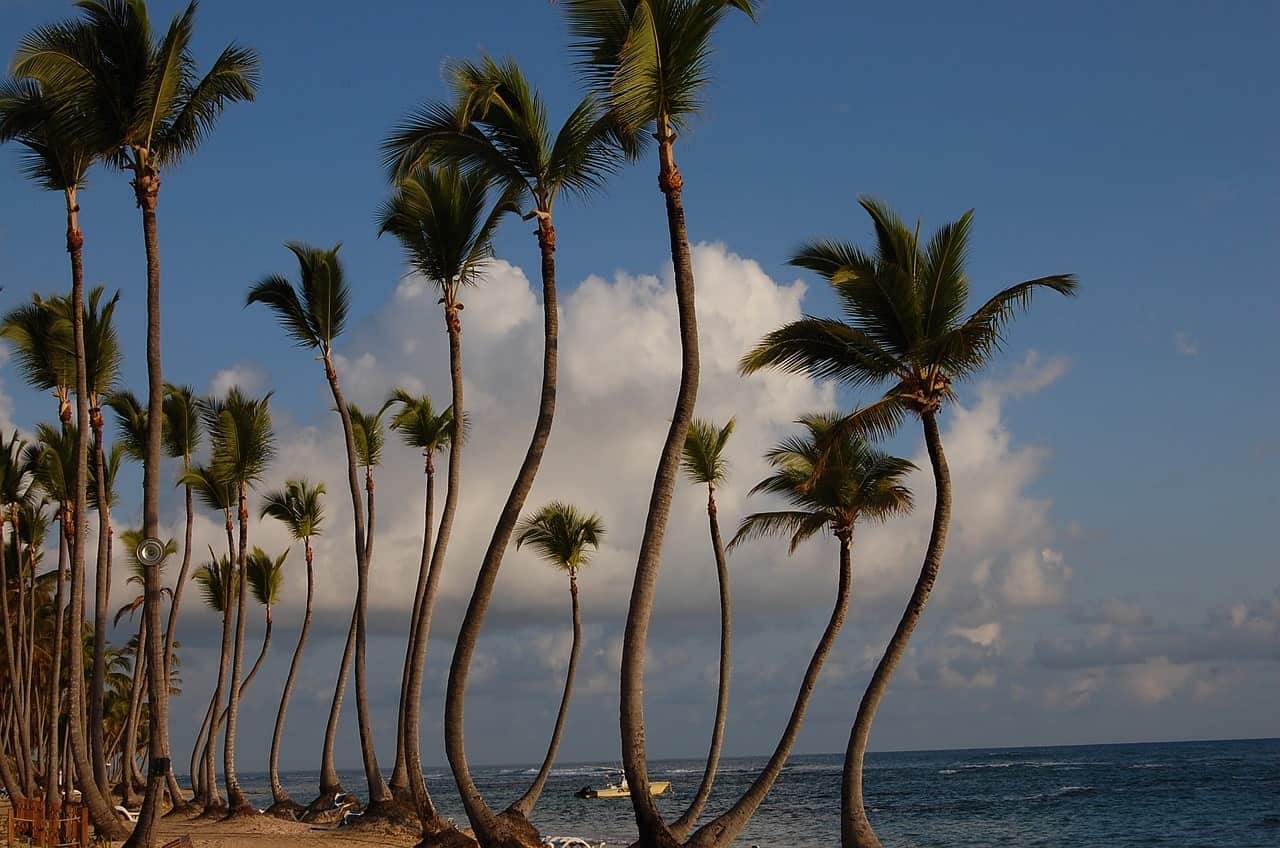 Things To Do In Punta Cana