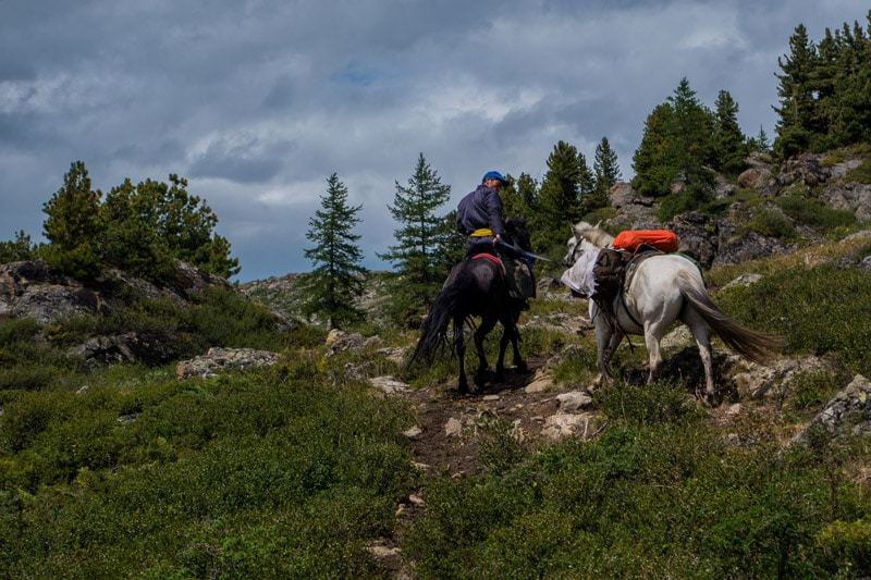 Horse Trek Tsaatan Dukha Reindeer Herders Mongolia