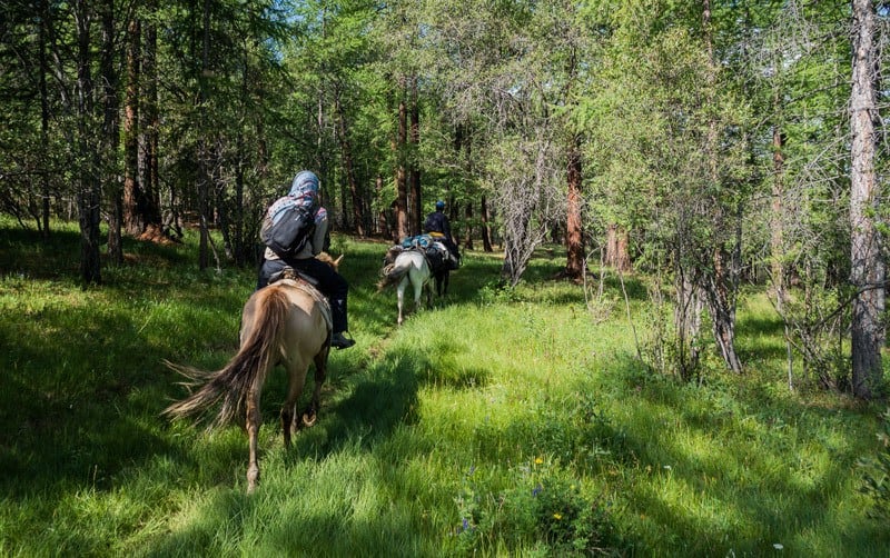 Horse Trek Tsaatan Dukha Reindeer Herders Mongolia