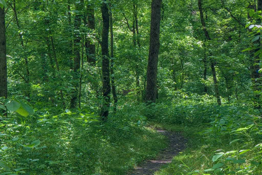 Roaring River State Park