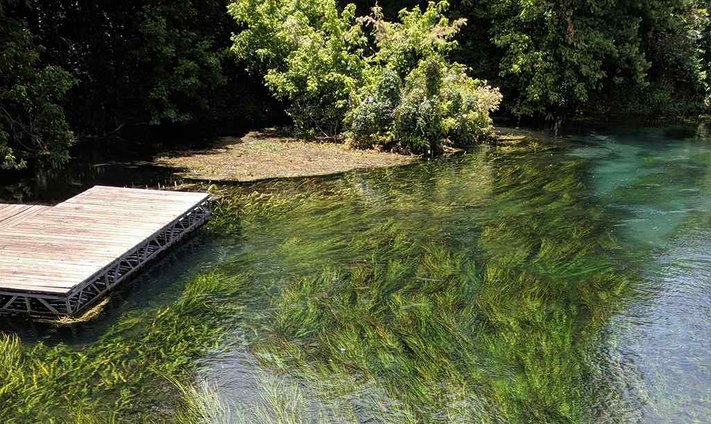 San Marcos River In Texas
