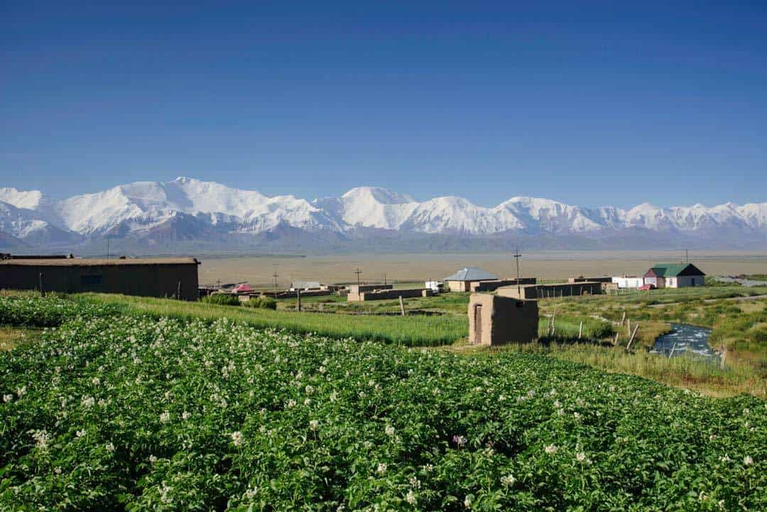 Sary Moghul Views