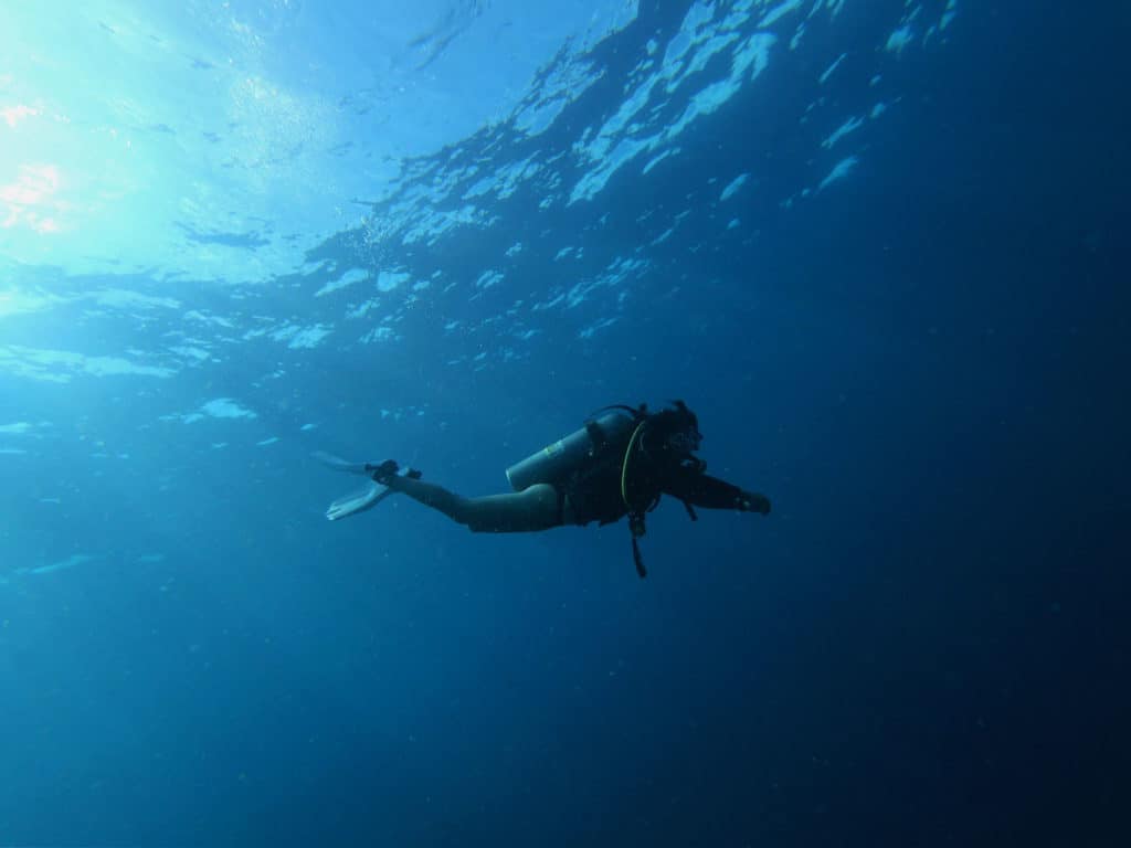 Scuba Diving In Busselton
