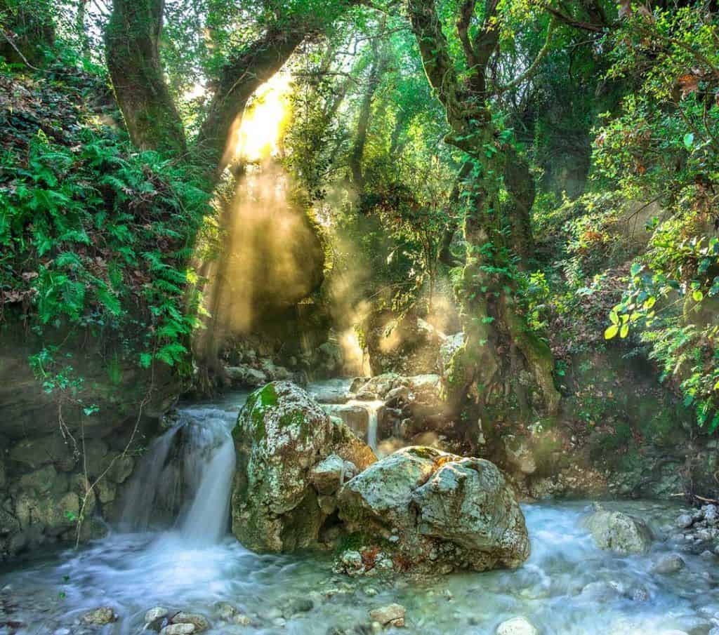 Luang Parabang, Nature, Jungle, Laos