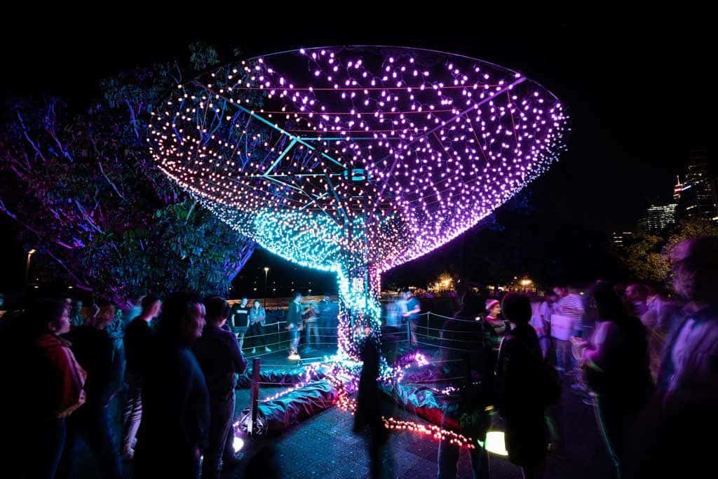 Tree Of Light