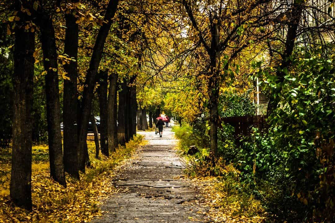 Bishkek Alleyway Photos Of Kyrgyzstan