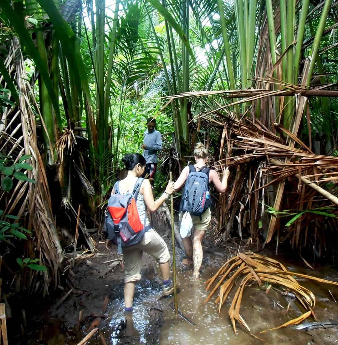 Mentawai Tribe