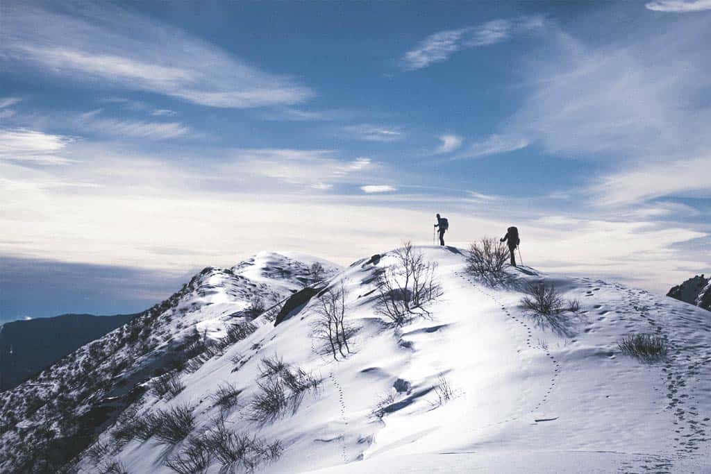 Hiking Poles In Snow