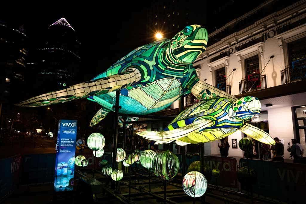 Turtles Vivid