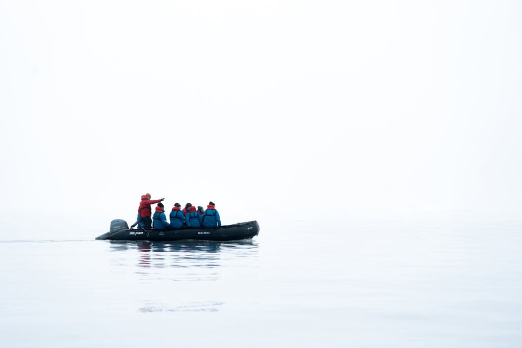 Zodiac In Mist Negribreen